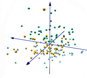 Bild: Bionum- Hilfe und Beratung in Biostatistik: 3D PCA Plot