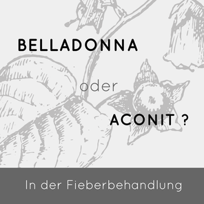 Aconitum oder Belladonna? welches ist das richtige Fiebermittel? Winter Globuli Homöopathie Berlin
