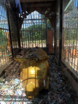 das goldene Schwein von Kakku