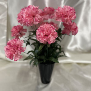 Cône 3 - 19.50€