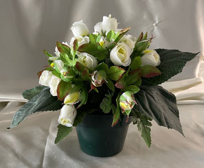 Rosettes 2 - 42 €