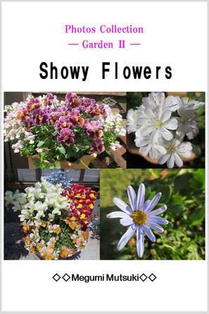 Photos Collection　― Garden 2 ―　Showy  Flowers