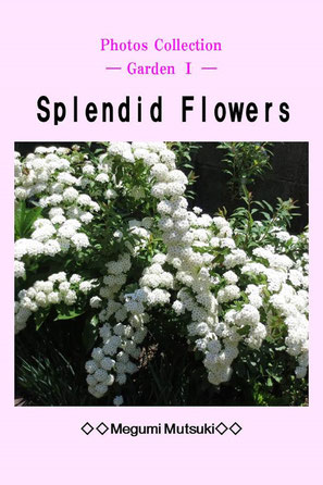 Photos Collection ― Garden Ⅰ ― Splendid Flowers　Megumi Mutsuki