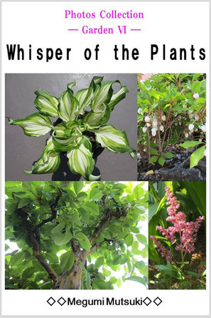 Photos Collection ― Garden 6 ―　Whisper of the Plants