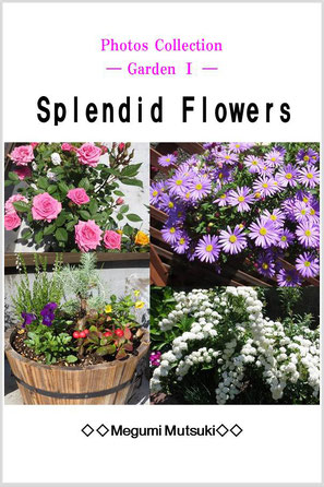 Photos Collection ― Garden ―　Splendid Flowers