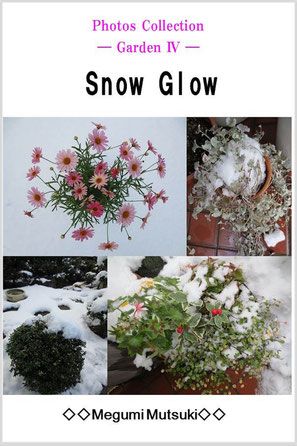 Photos Collection　― Garden 4 ―　Snow Glow