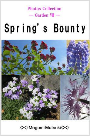 Photos Collection ― Garden 8 ― Spring's Bounty