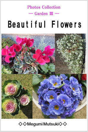Photos Collection　― Garden 3 ―　Beautiful Flowers