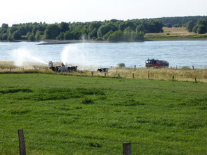 Feuerwehrübung: Kühe nass machen