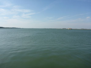Kein Meer, die Donau vor Staustufe