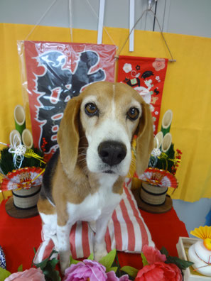 ばっちりカメラ目線!