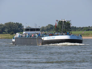 Eveline