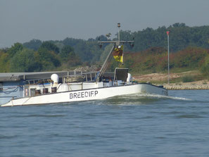 Breediep