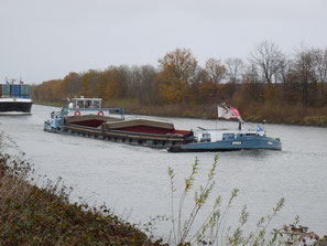 Mvs Spera