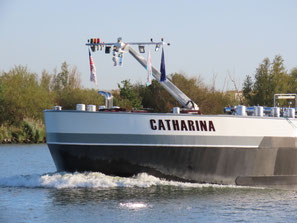 Catharina