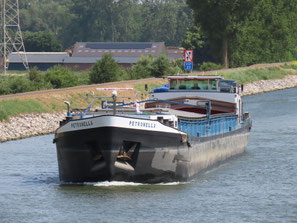 Ms Petronella