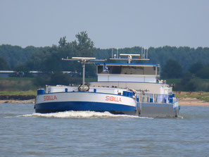 Sibilla