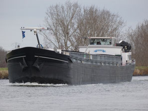 Mvs Shalom