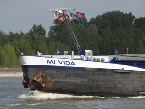 Mi Vida