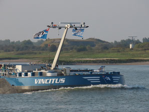 Vincitus