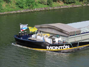 Monton