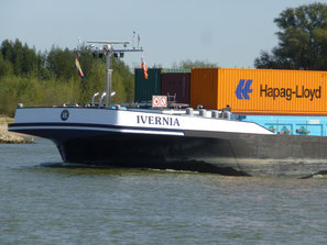 Ivernia