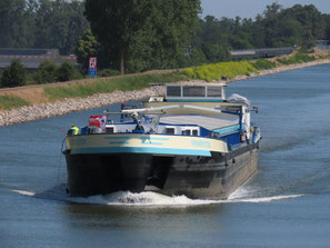 Vandetta