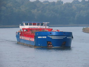 Amadeus Silver