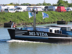 Mi-Vida 03310475