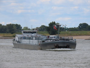 mts Mangusta