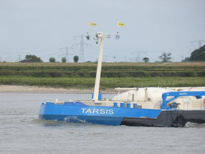 Tarsis