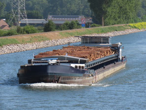 ms Shalona