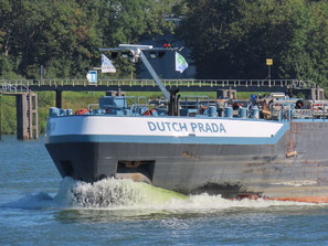 Dutch Prada