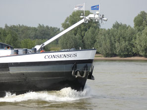 Concensus