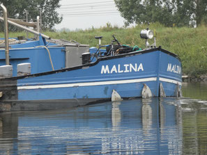 Malina