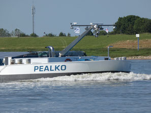 Pealko