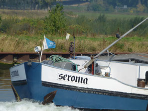 Mvs Seroma