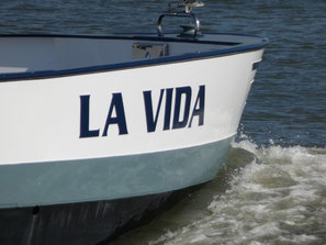 La Vida