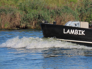 Lambik