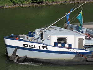 Delta 02311729