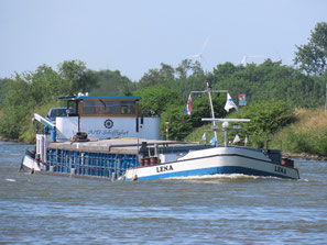 ms Lena