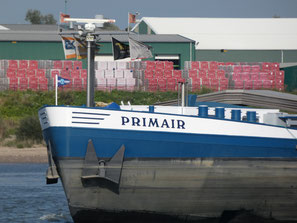 Mvs Primair