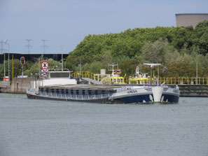 mvs Amesa