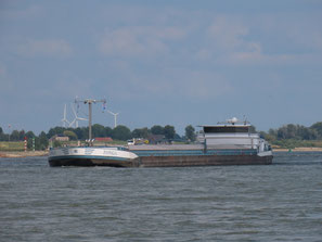 Zonga