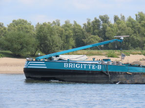 Brigitte B