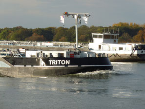 Triton