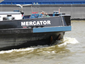 Mercator M-bracht