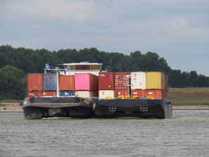 Koppelverband Pelagus