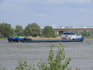 Nivoma