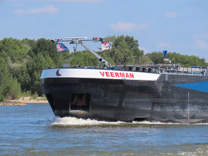 Mts Veerman